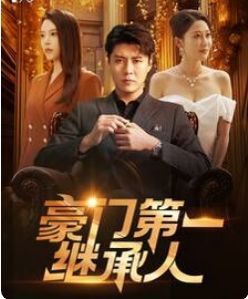 豪门第一继承人 全集(大结局)