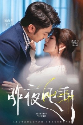 昨夜风雨 全集完结(大结局)